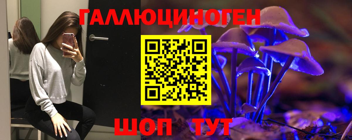 Псилоцибиновые грибы Psilocybe  Галлюциногенные грибы GOLDEN TEACHER  Вход с VPN  Мичуринск 